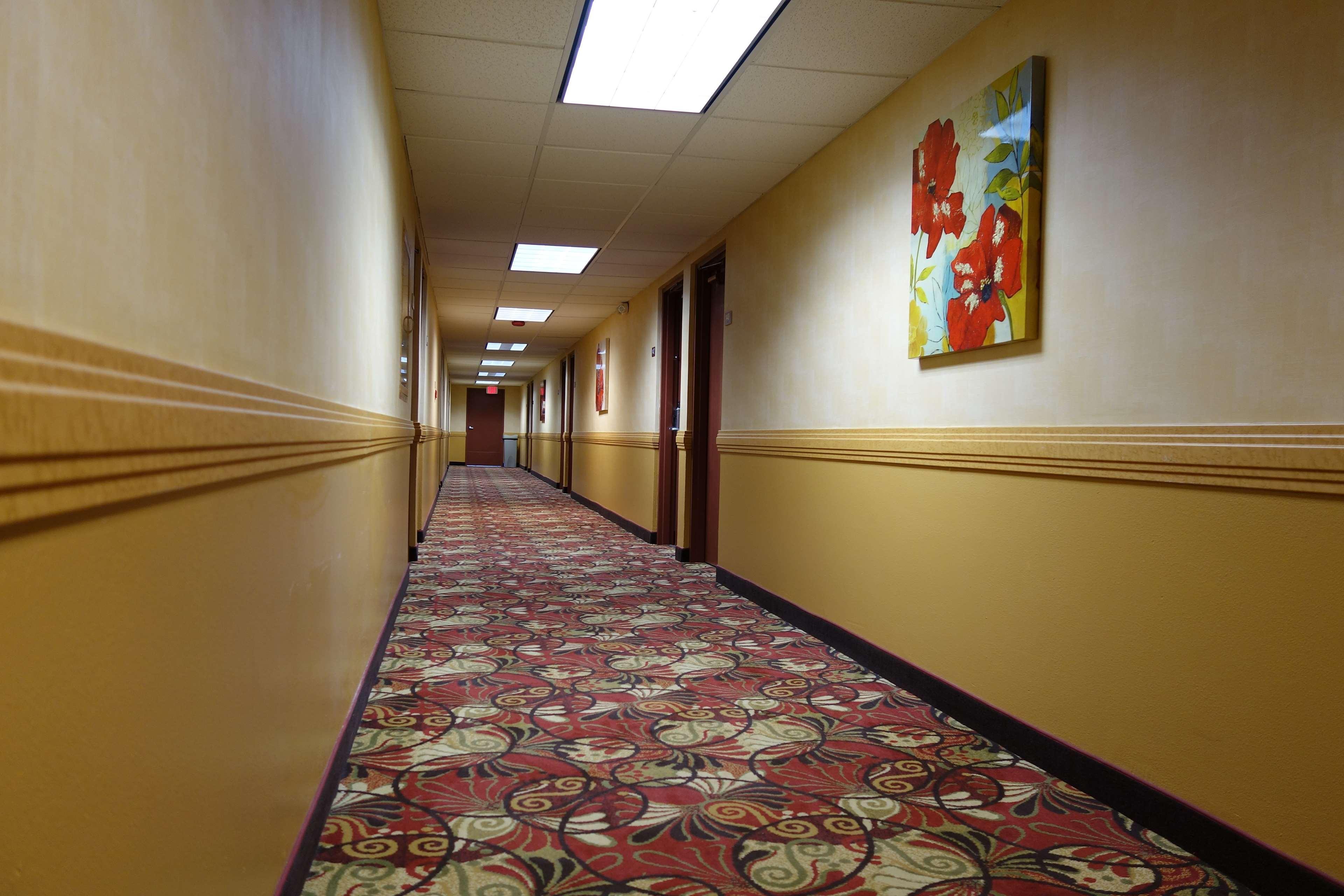 Hotel Ramada By Wyndham Sacramento North Highlands Esterno foto